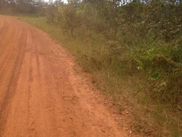 Vende se linda fazenda em arinos MG