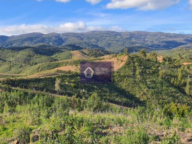 VENDE SE PROPRIEDADE COM RUÍNA EM MONCHIQUE