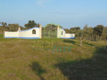 Vende se Quinta com monte, piscina, adega e vinha no Alentejo