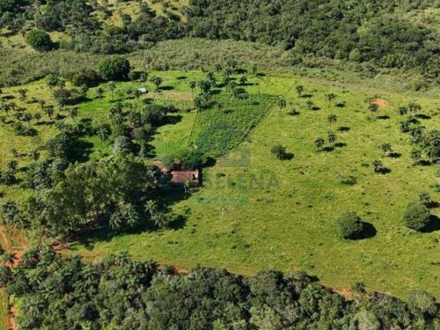 VENDE SE SITIO COM EXCELENTE QUALIDADE DE PASTO E ACESSO A AGUA
