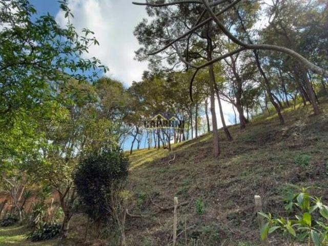 Vende se Sítio de 3,3 Hectares – Final de Linha, Água por Gravidade e Casa Aconchegante em Passa Tem