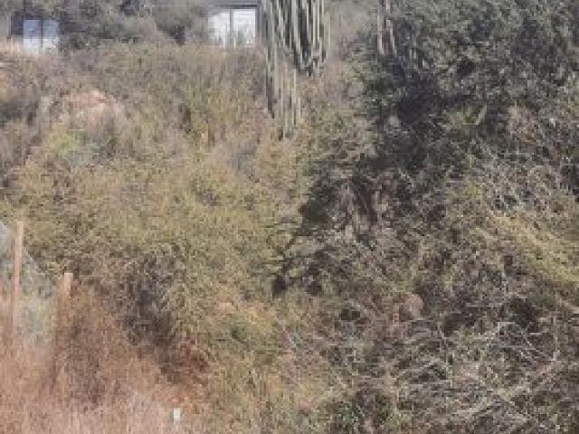 Vendemos amplia casa en Limache,excelente conectividad