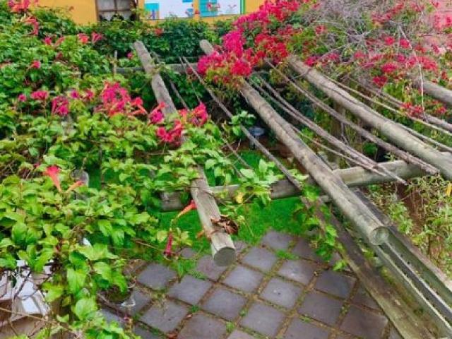 Vendemos casa en barrio Recreo con vista al mar,Viña del mar