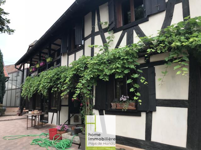VENDENHEIM MAGNIFIQUE MAISON ALSACIENNE HAUT STANDING