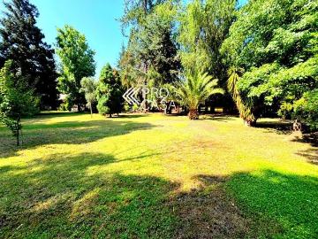 Camino La Viña, Las Condes - Jardín, Parilla