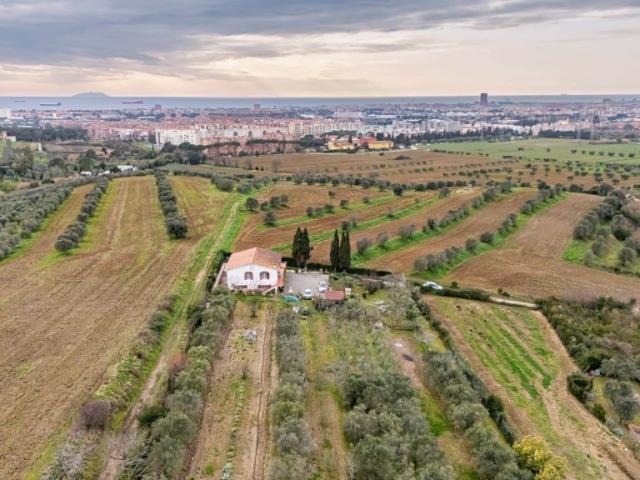 Vendesi appartamento a Livorno, Limoncino