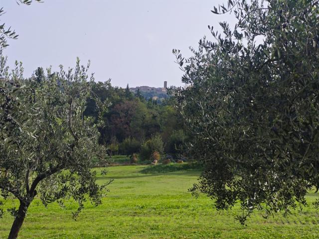 Vendesi appartamento in casolare con terreno, posizione pano. 105m² Volterra