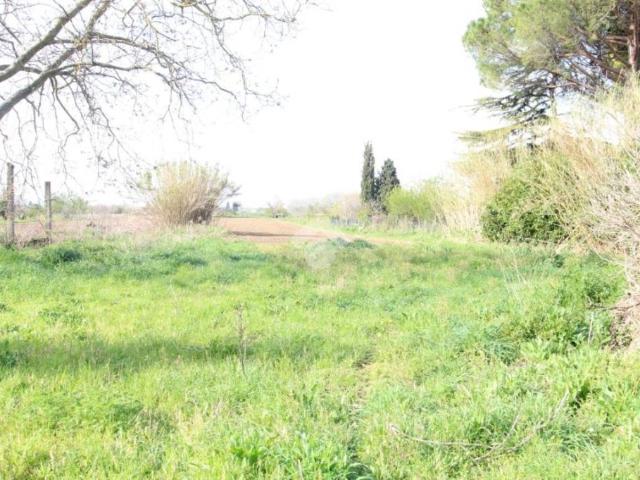 Vendesi casa indipendente a Cascina via Santa Lucia, 103, Ripoli Ansa dell'Arno
