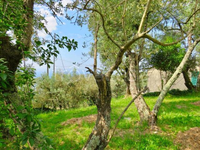 Vendesi casa indipendente a Genova via Cianà, Sant'Ilario