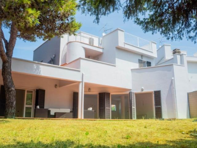 Vendesi casa indipendente a Livorno, Chioma