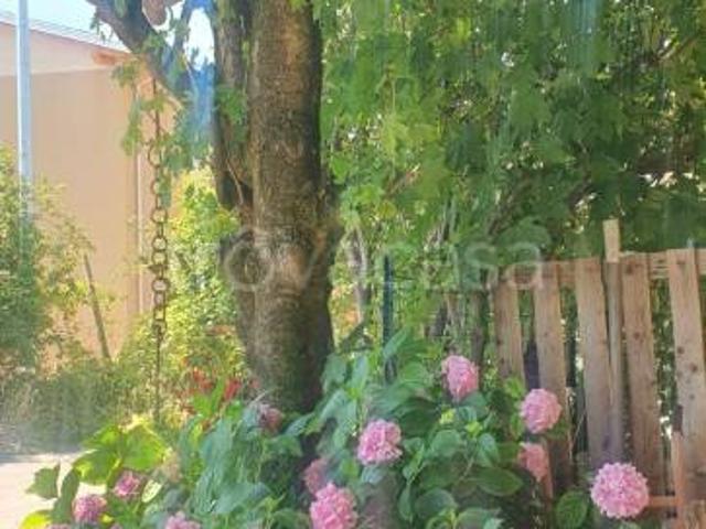 Vendesi casa indipendente a Lugagnano Val d'Arda