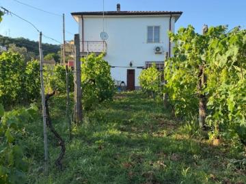 Vendesi casa indipendente a Luni, Isola