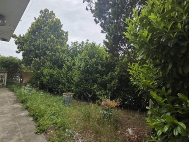 Vendesi casa indipendente a Montechiaro d'Acqui