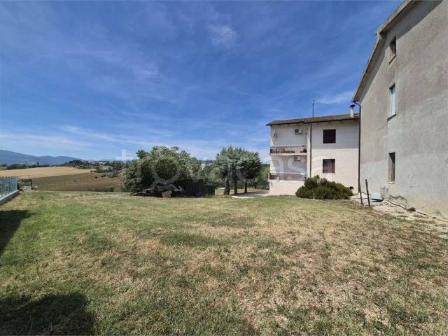 Vendesi casa indipendente a Staffolo, Coste