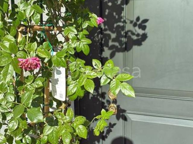 Vendesi casa indipendente a Padova via Poggio Bracciolini, Crocifisso Ponte Quattro Martiri