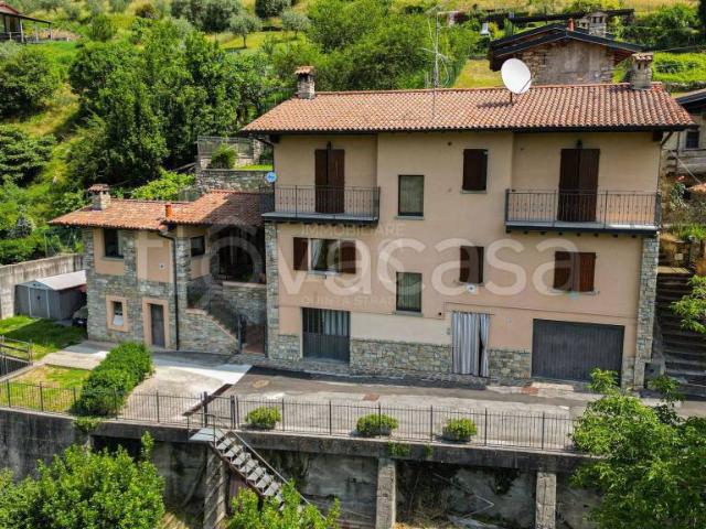 Vendesi casa indipendente a Viadanica via Dosso, 10