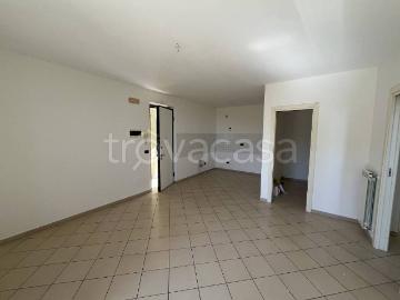 Appartamento in vendita a Bargana - Giardino