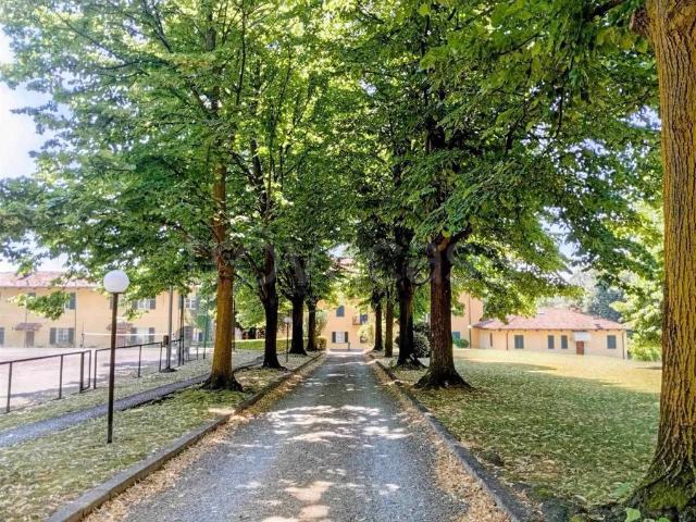 Vendesi villa a schiera a Muzzano via Adolfo Rivetti, 20