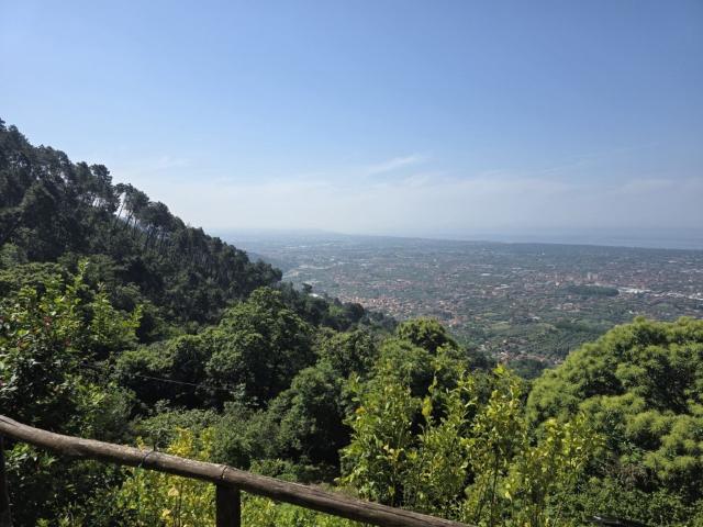 Vendesi villa a Pietrasanta