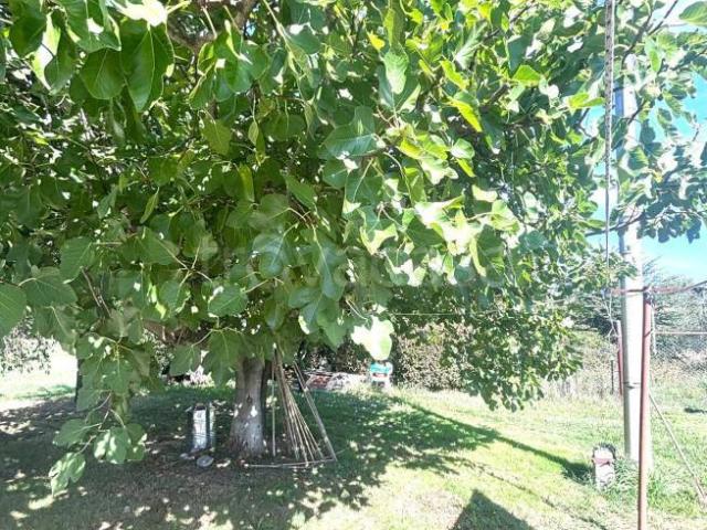 Vendesi villa bifamiliare a Collesalvetti via di Badia