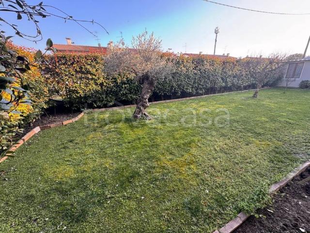 Vendesi villa bifamiliare a Legnago via Borghetto, Canove