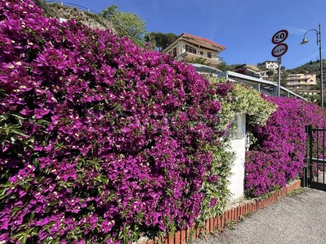 Vendesi villa bifamiliare a Zoagli via Marina Bardi