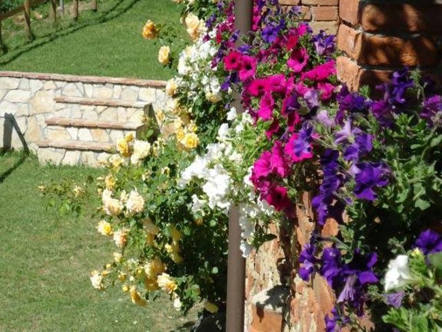 Vendesi villa con giardino e terrazzo privato in borgo con p. 200m² Terricciola