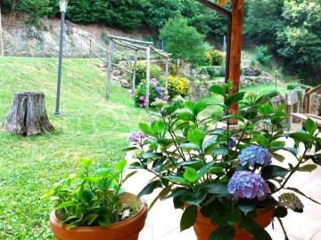 Vendesi villa singola a Teolo, Teolo