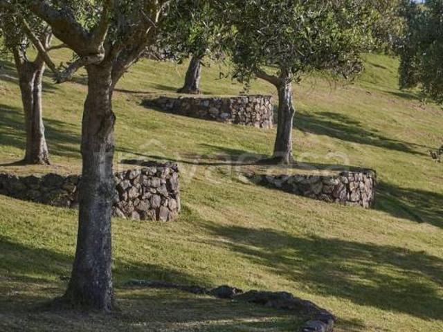 Vendesi villa singola a Tovo San Giacomo via Gaiado
