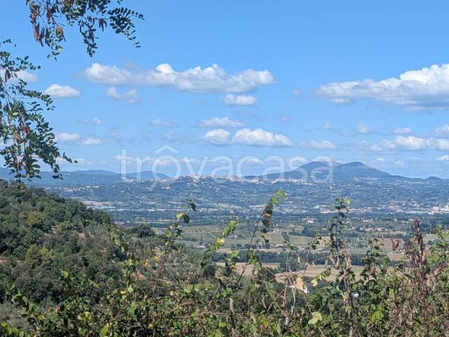 Vendesi villa singola a Bettona via dei Cacciatori, 3