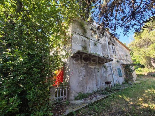 Vendesi villa singola a Fermo