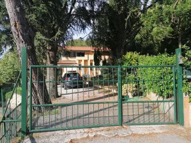 Vendesi villa singola a Massarosa
