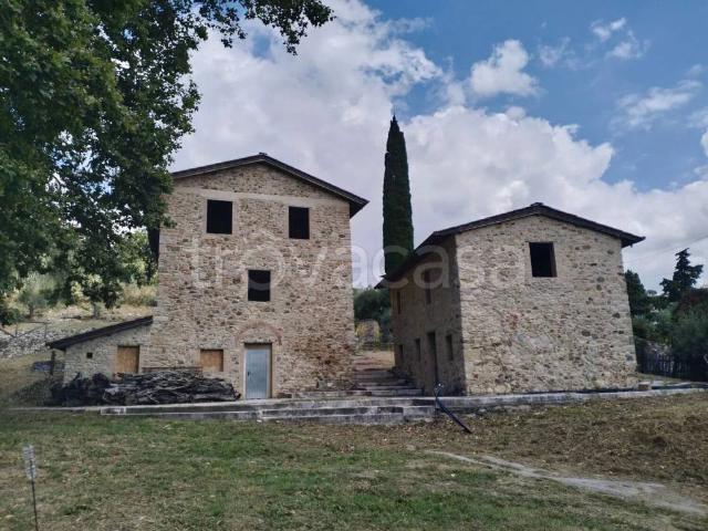 Vendesi villa singola a Massarosa