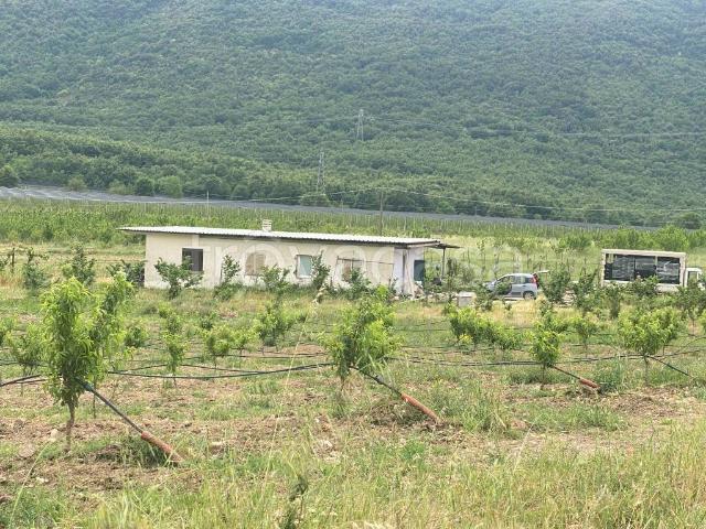 Vendesi villa singola a Mignano Monte Lungo via Vago Romano