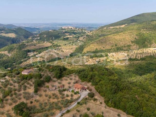 Vendesi villa singola a Mompeo