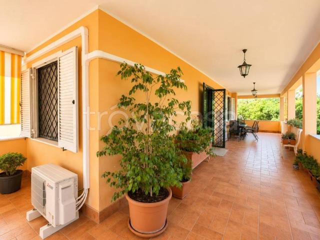 Vendesi villa singola a Nettuno via Mirabella, 60