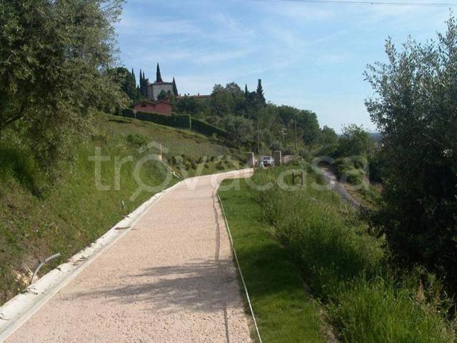 Vendesi villa singola a Pietrasanta