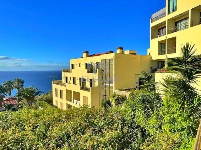 VENDIDO APARTAMENTO NO CANIÇO T1 COM LOGRADOURO