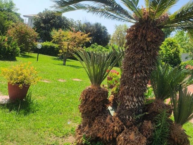 Vendita Casa indipendente / Villa 350 m² 10 camere Arenz. 350m² Arenzano
