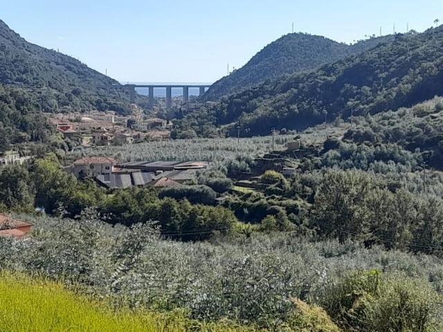 Vendita Casa indipendente / Villa 300 m² 3 camere Tovo S. 300m² Tovo San Giacomo