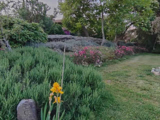 Vendita Casa indipendente / Villa 320 m² 3 camere Sutri 320m² Sutri