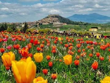 vendita Castel Lagopesole 6 vani 248mq