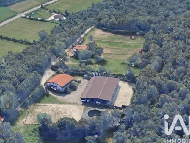 Vendita Immobile ad uso commerciale 1900 m² 5 camere Mus. 1900m² Muscoline