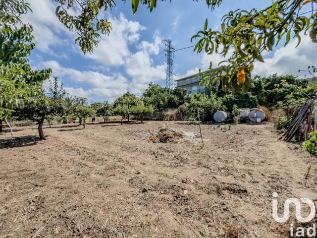 Vendita Palazzo / Stabile 406 m² Joppolo 406m² Joppolo