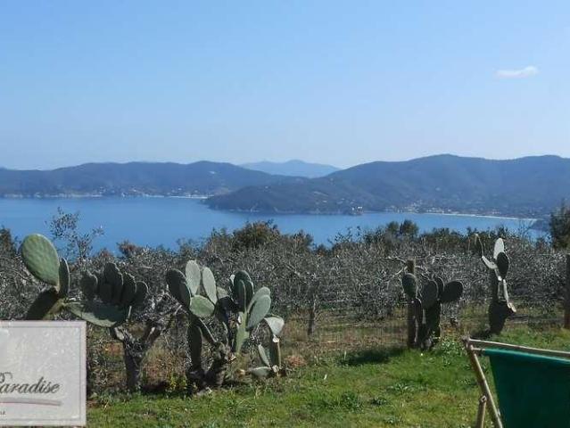 vendita Via dei Pini 6 vani 137mq