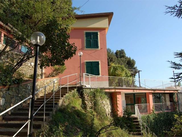 vendita Via della Né 15 vani 384mq