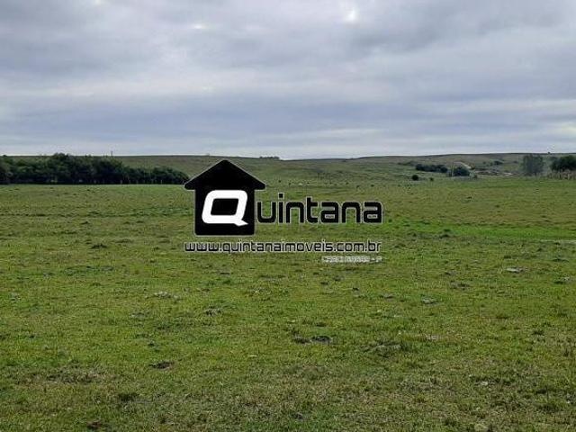 Vendo 42 hectares em São Gabriel