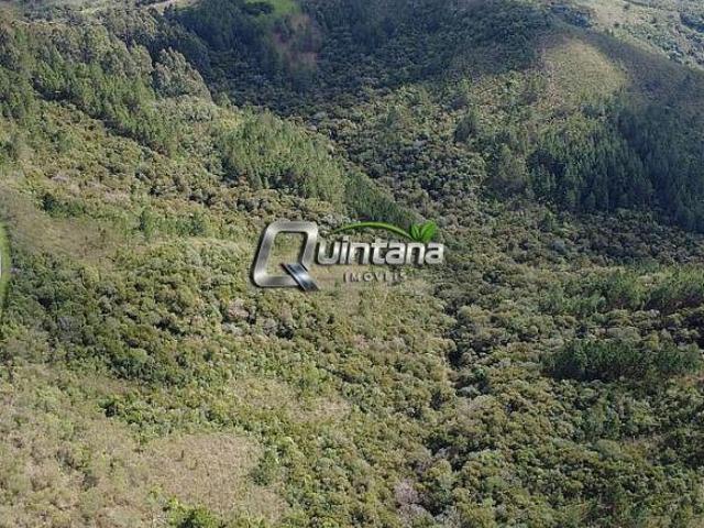 Vendo 53 hectares para compensação ambiental
