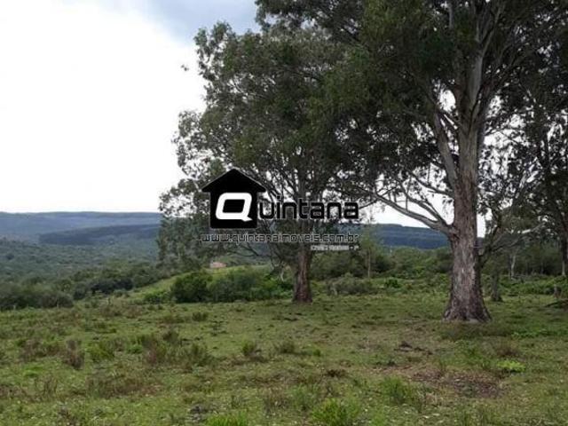 Vendo 50 hectares nas margens da BR 392