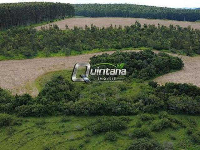vendo 63 hectares em Sentinela do Sul